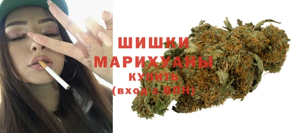 амф Новодвинск