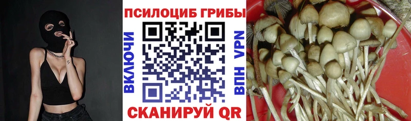 купить закладку  Южно-Сахалинск  Псилоцибиновые грибы Psilocybe 